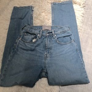 Everlane High Rise Skinny Jeans